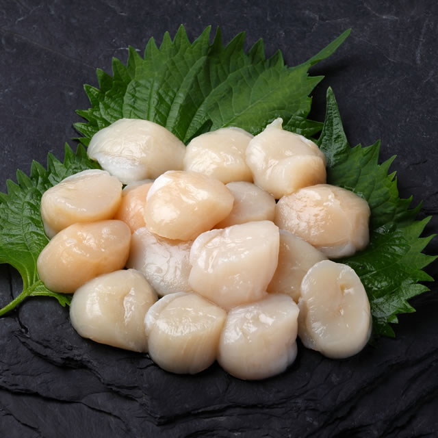 帆立貝柱刺身用 [凍]