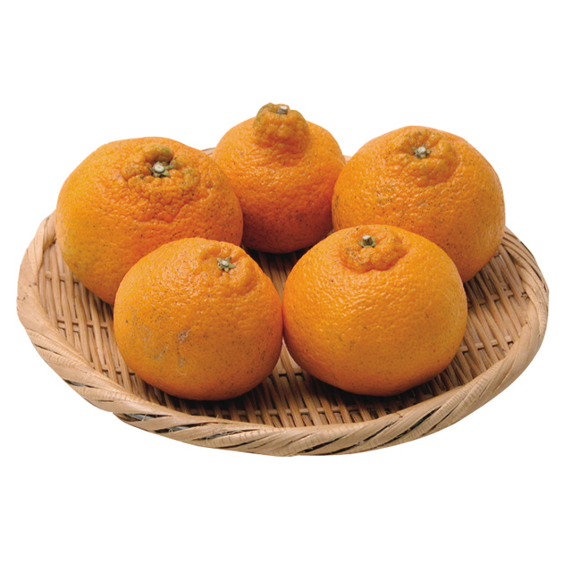 不知火(しらぬい)