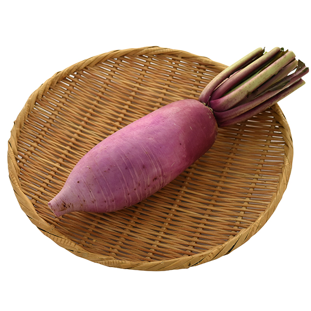 赤大根