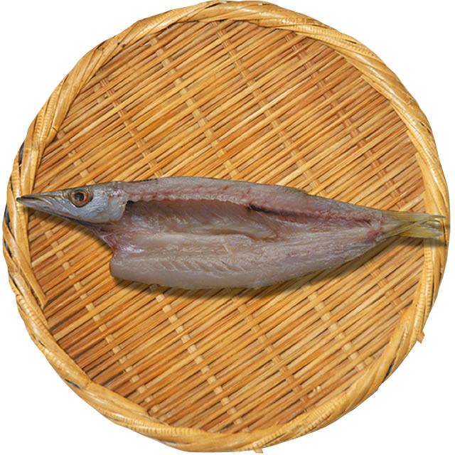 カマス開き [凍]