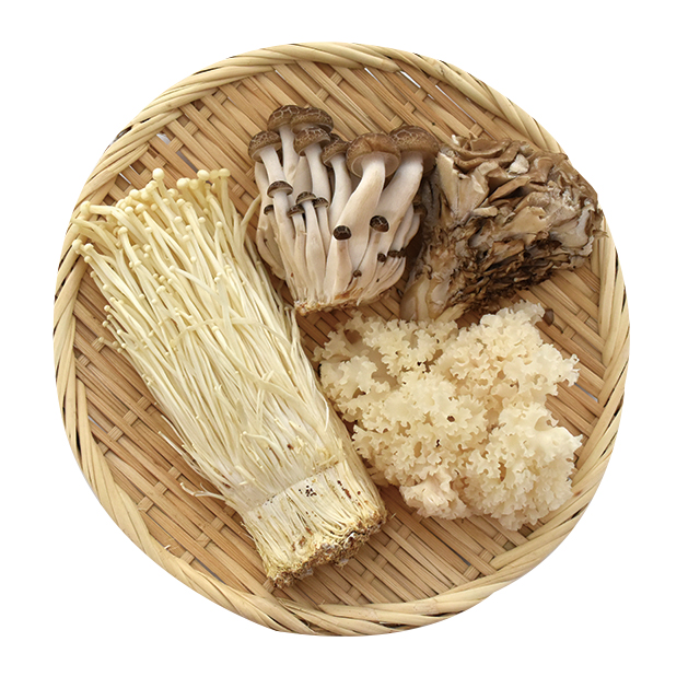変わり種きのこセット(はなびら茸)