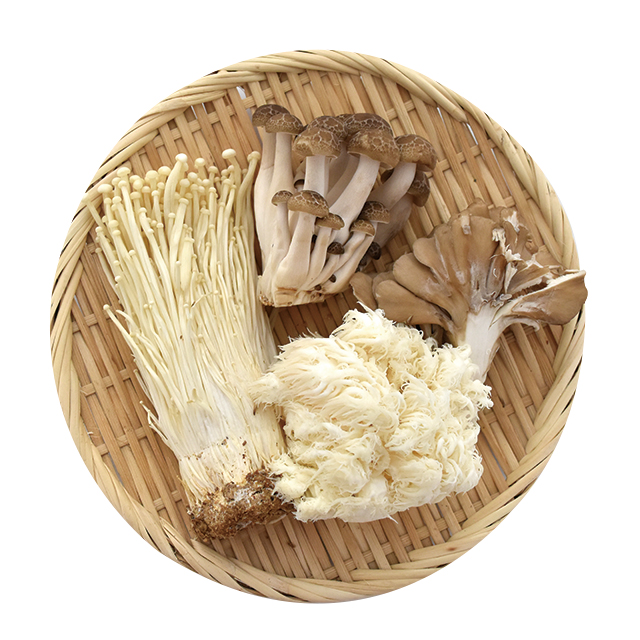変わり種きのこセット(やまぶし茸)