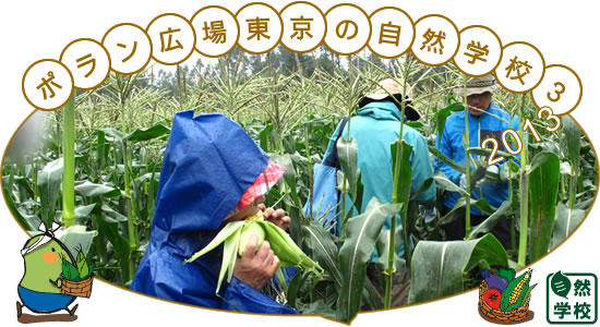 ポラン広場東京の自然学校 3　有機とうもろこし収穫体験