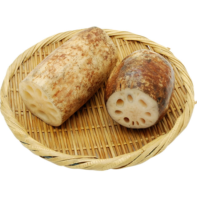 蓮根