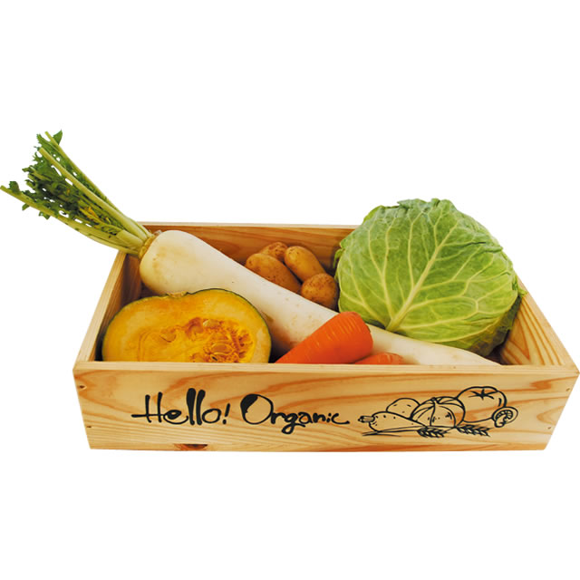 野菜セット V10(初回限定)