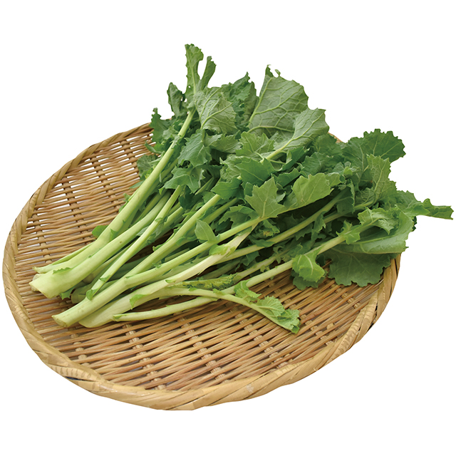 かき菜