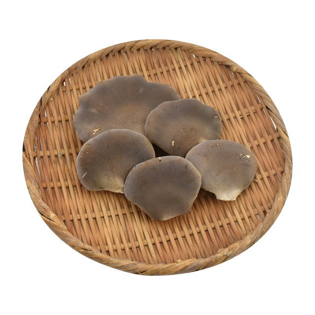 黒あわび茸