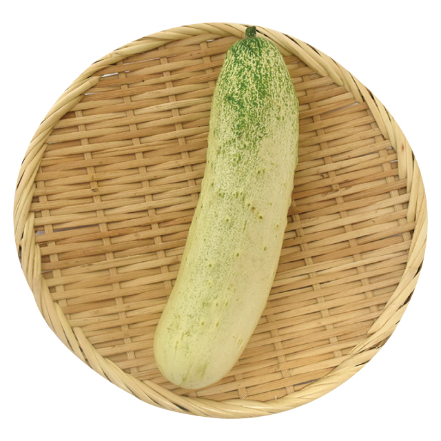 高山きゅうり