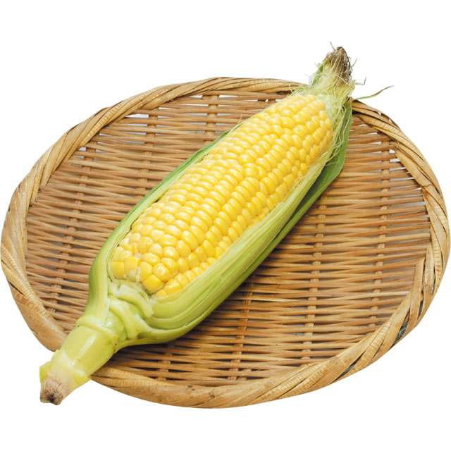 とうもろこし