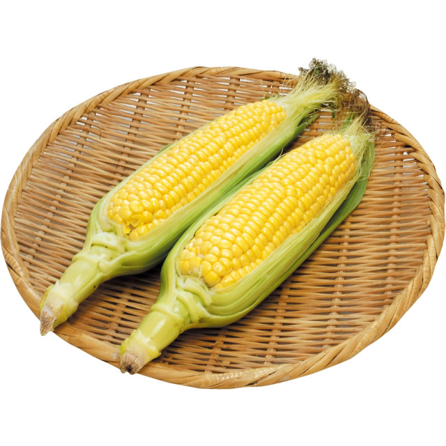 とうもろこし・2本