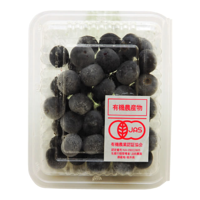 有機冷凍ブルーベリー [凍]