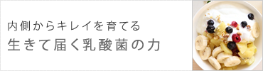 内側からキレイを育てる生きて届く乳酸菌の力