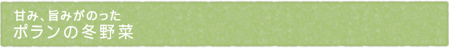 11-204-ttl01