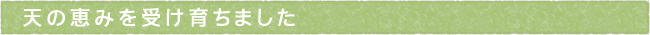 11-204-ttls01