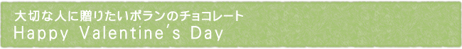 11-206-ttl01
