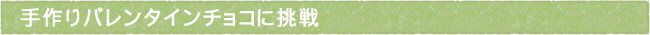 11-206-ttls03