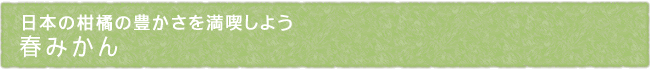 11-207-ttl01