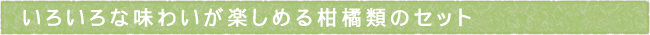 11-207-ttls01