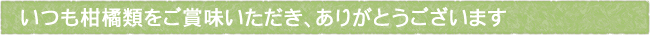 11-207-ttls02