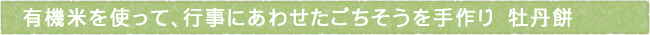 11-212-ttls01