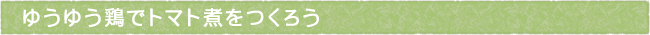 11-213-ttls01