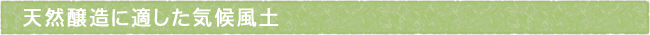 11-215-ttls01