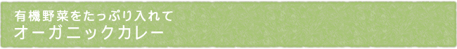 11-234-ttl01