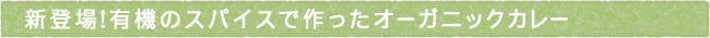 11-234-ttls01