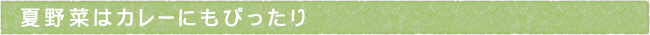 11-234-ttls02