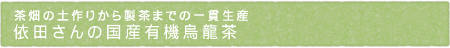 11-243-ttl01