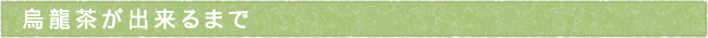 11-243-ttls02