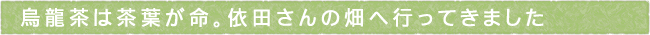 11-243-ttls03