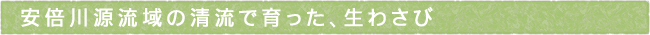 11-243-ttls05