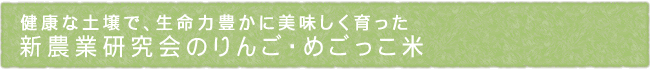 11-246-ttl01
