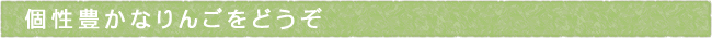 11-246-ttls01