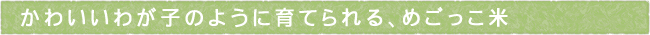 11-246-ttls02