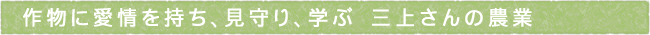 11-247-ttls01