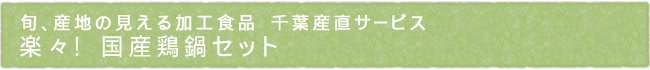 11-248-ttl01