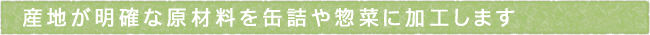 11-248-ttls01