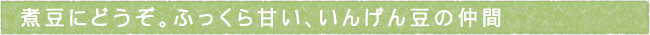 11-250-ttls02