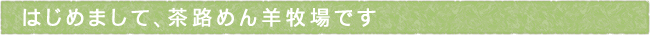 11-251-ttls01