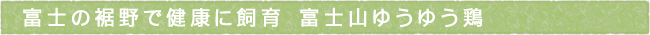 11-252-ttls01