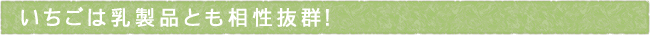 12-202-ttls02