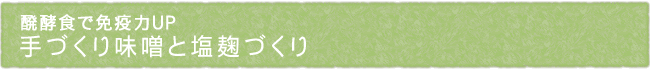 12-203-ttl01