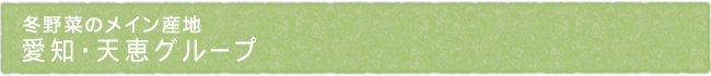 12-204-ttl01
