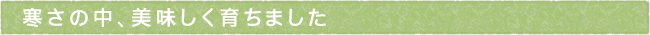 12-204-ttls01