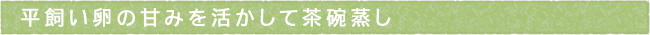 12-205-ttls02