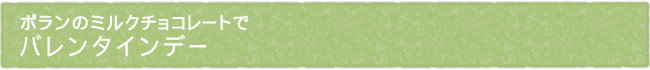 12-206-ttl01