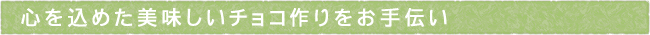 12-206-ttls02