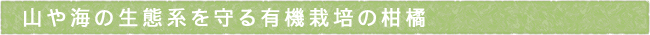 12-207-ttls01